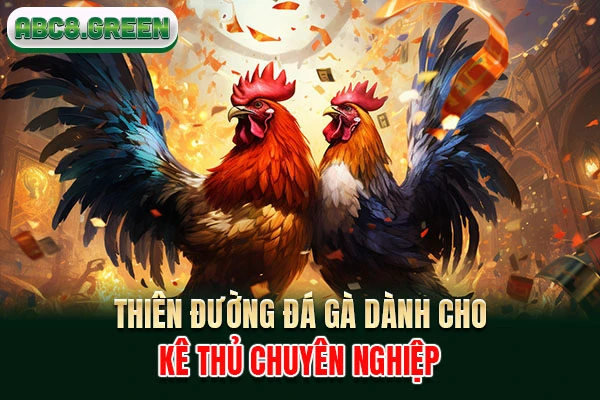 Thiên đường đá gà dành cho kê thủ chuyên nghiệp