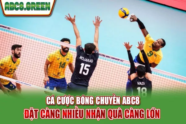 Cá Cược Bóng Chuyền ABC8