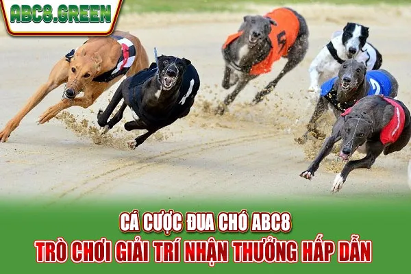 Cá Cược Đua Chó ABC8 - Trò Chơi Giải Trí Nhận Thưởng Hấp Dẫn 