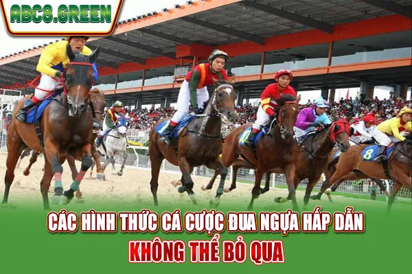 Các hình thức cá cược đua ngựa hấp dẫn không thể bỏ qua