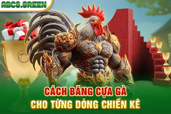 Cách băng cựa gà cho từng dòng chiến kê