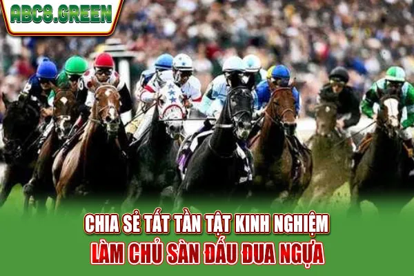 Chia sẻ tất tần tật kinh nghiệm làm chủ sàn đấu đua ngựa