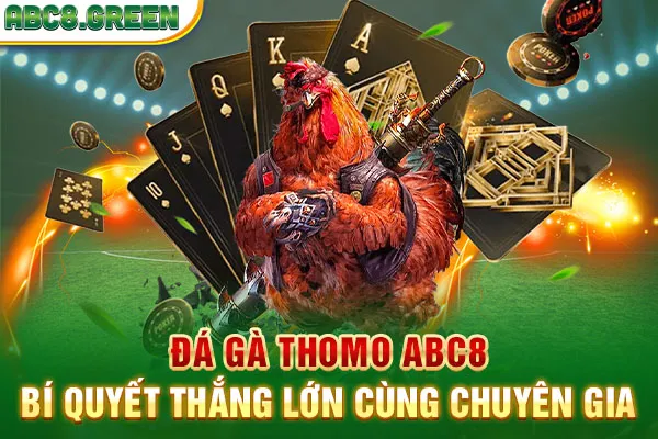 Đá Gà Thomo ABC8 - Bí Quyết Thắng Lớn Cùng Chuyên Gia