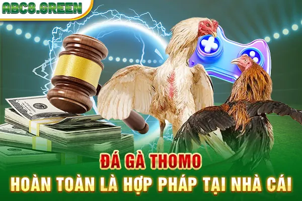 Đá gà Thomo hoàn toàn là hợp pháp tại nhà cái