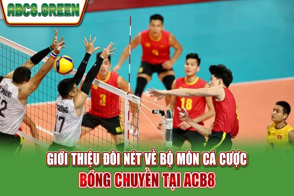 Giới thiệu đôi nét về bộ môn cá cược bóng chuyền tại acb8