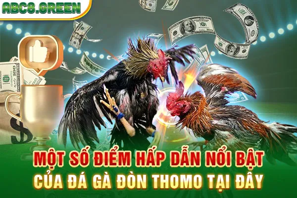 Một số điểm hấp dẫn nổi bật của đá gà đòn Thomo tại đây