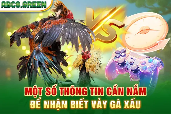 Một số thông tin cần nắm để nhận biết vảy gà xấu