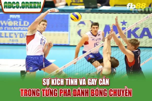 Sự kích tính và gay cấn trong từng pha đánh bóng chuyền