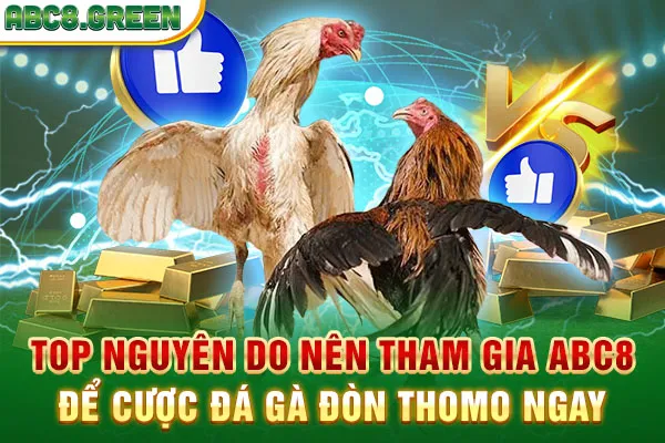 Top nguyên do nên tham gia ABC8 để cược đá gà đòn Thomo ngay