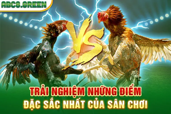 Trải nghiệm những điểm đặc sắc nhất của sân chơi